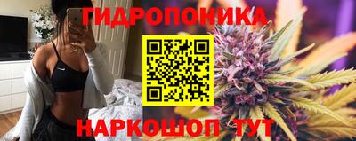 хмурый Малоярославец