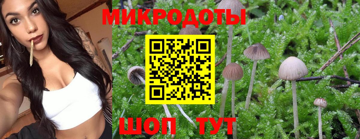 Галлюциногенные грибы прущие грибы Вичуга