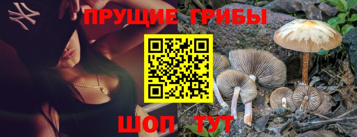 Вичуга  Галлюциногенные грибы ЛСД  Вход с VPN 